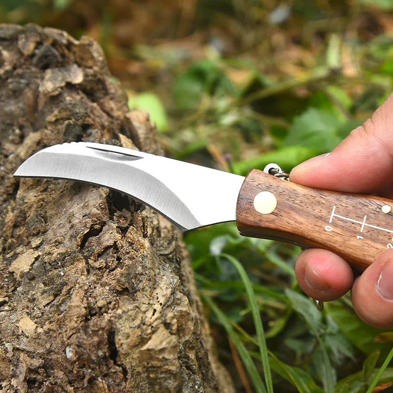 Mushroom Forager's Folding Knife