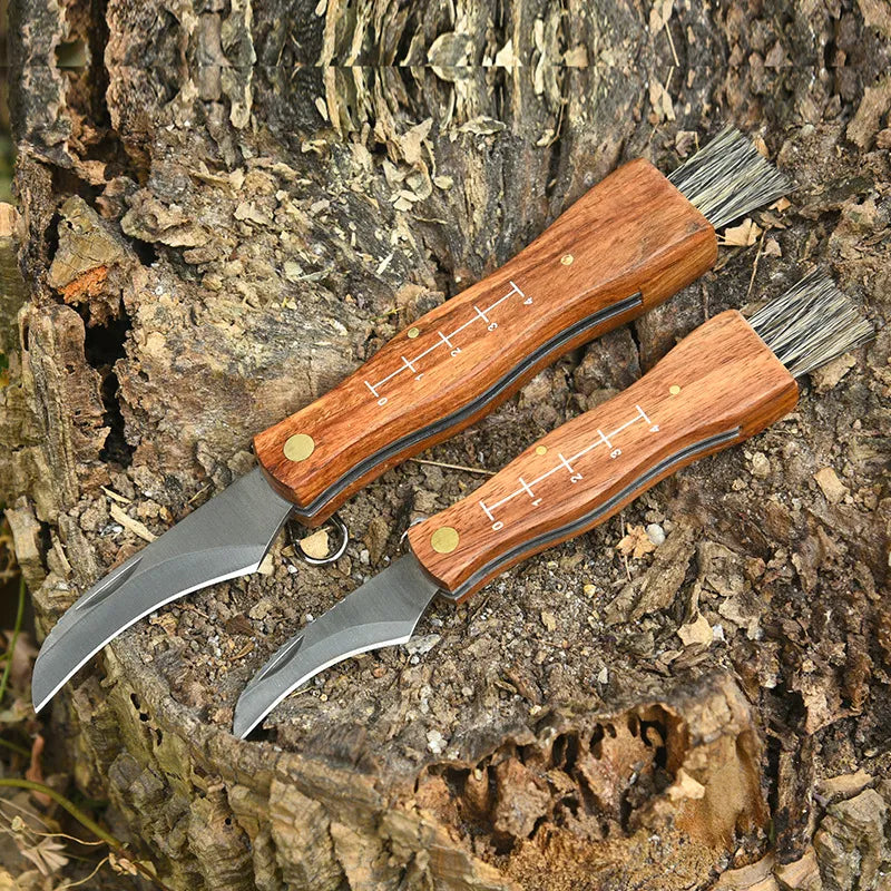 Mushroom Forager's Folding Knife