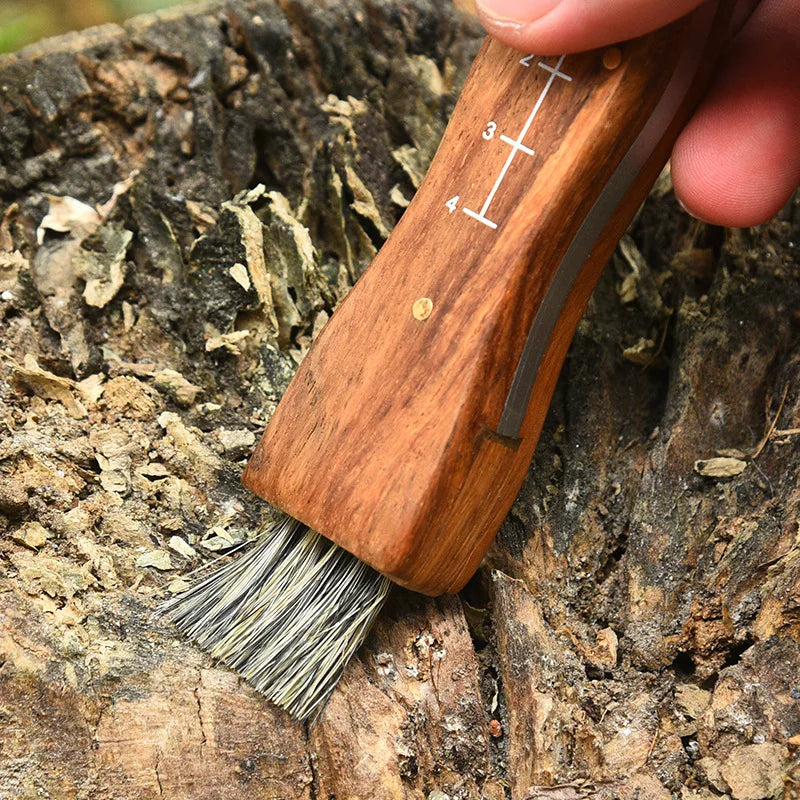 Mushroom Forager's Folding Knife