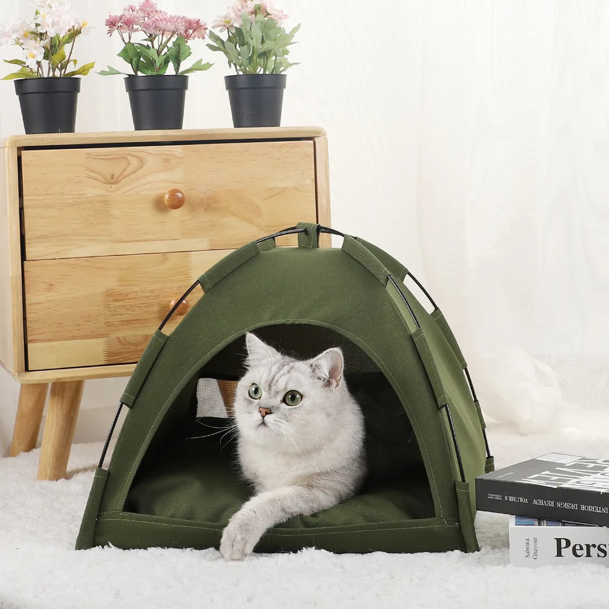 cute furry white cat resting on a pillow inside an olive drab green tent