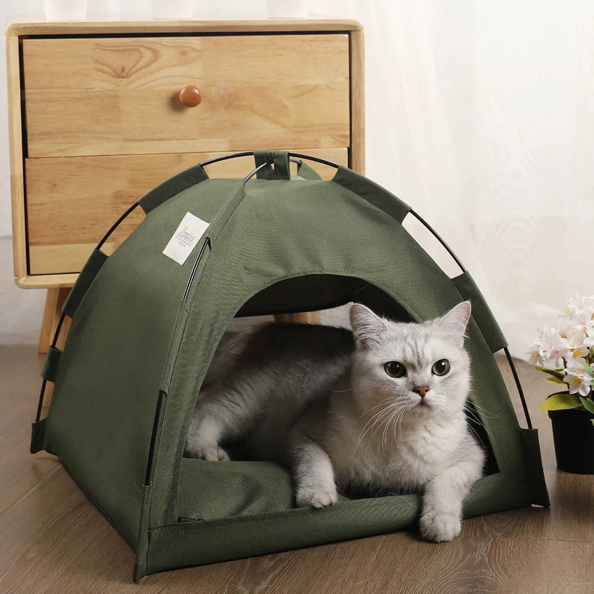cute furry white cat resting on a pillow inside an olive drab green tent