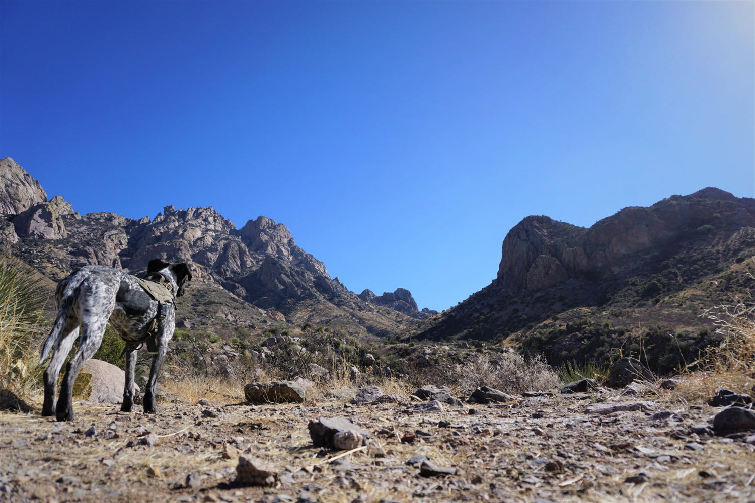 COMPACT EXPEDITION GEAR