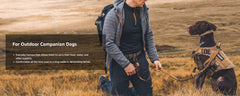 Chocolate brown german shorthaired pointer wearing a brown tactical harness sitting in a grassy field with a man holding a leash