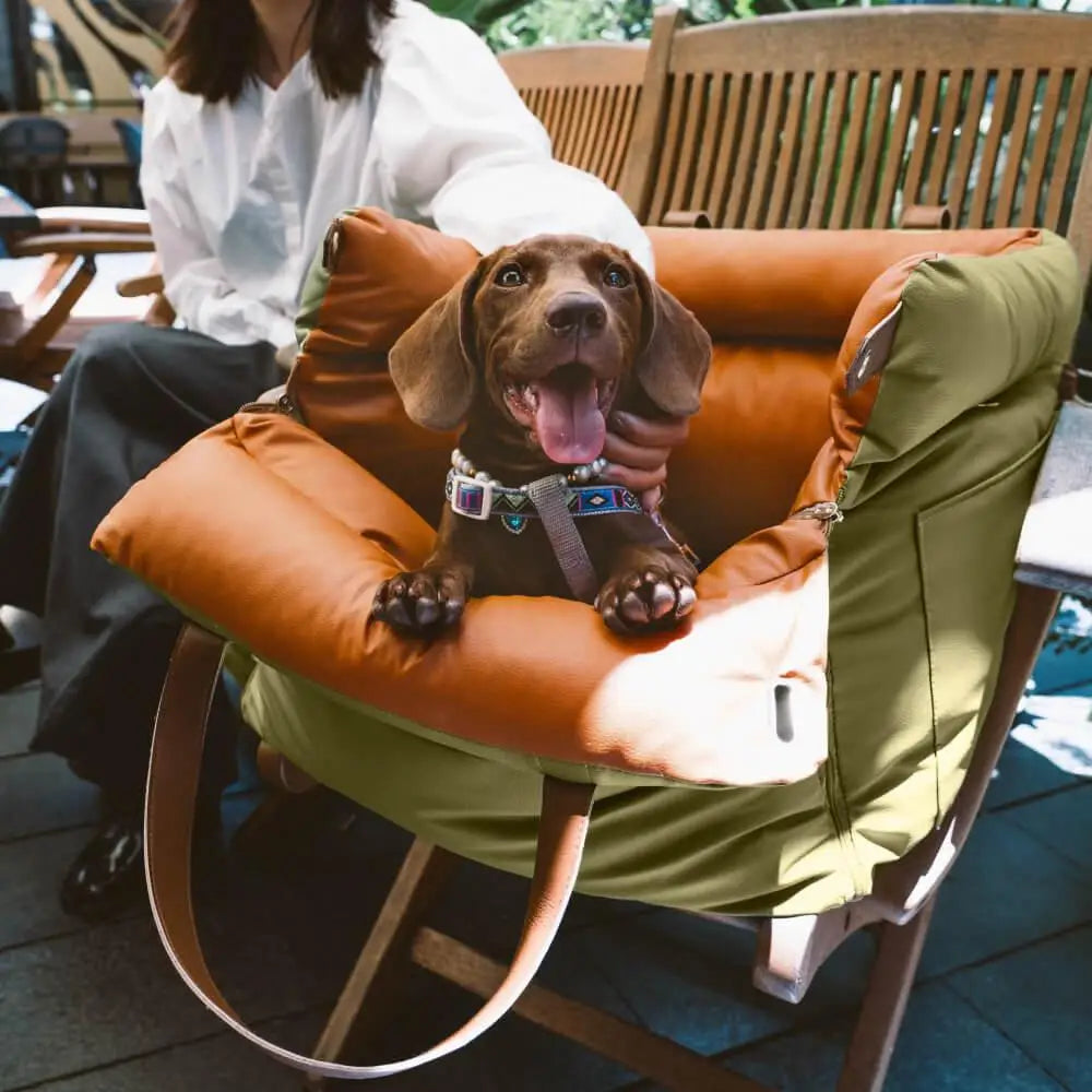 Paws & Relax Car Pet Bed