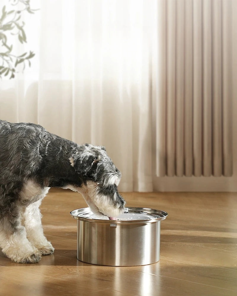 Stainless Steel Carbon Filtered SmartBowl