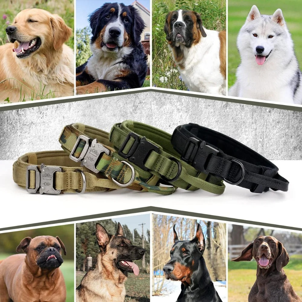 K9 Heavy Duty Tactical Dog Collar